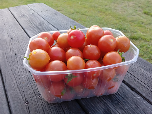 1717913 (a): :2560x1920